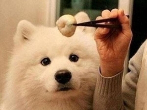 �����ȷ������ �������ʳ����