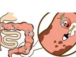 ���������ķ��� ����������ע������