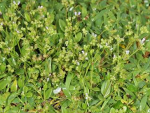 ������_�����ݵĹ�Ч����|��������