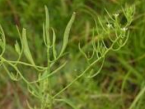 �������_����������÷�|��Ч