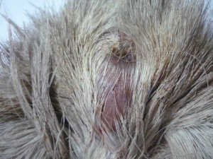 ���o�����账�� ���o�����蹦Ч ���o�������������