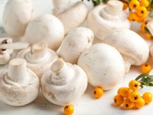 ��Ģ����Ӫ����ֵ ��Ģ����ʳ�÷���