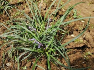 ������Ӵ��� ������ӹ�Ч ������Ӹ�������