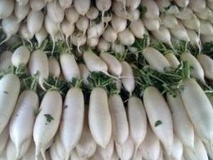 ���������ķ��� ����������ʲô��