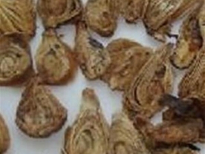 �����ӵĹ�Ч������ �����ӵĸ���