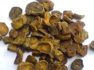 ���������� ��������Ч ��������������