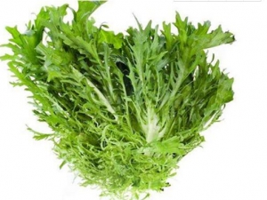 ���ĸ��Ĺ�Ч������ ���ĸ����÷�����