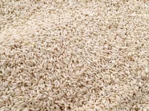 Ŵ׵Ӫ빦Ч Щ˲ܳŴ