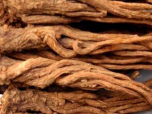 ŷ����_ŷ����Ĺ�Ч|�÷�