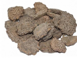 ����ദ�� ����๦Ч ������������