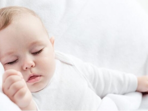 �����ò������� �����ֿ�������ô��