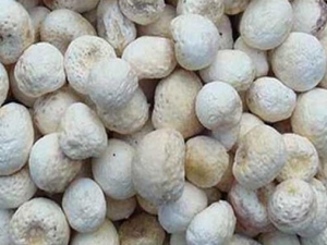 �αԸദ�� �αԸ๦Ч �αԸ��������