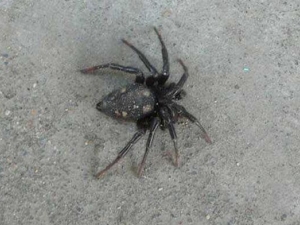 ��Ǯ�Ĺ�Ч������ ��Ǯ���÷�����