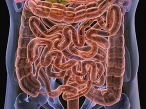 ������ӳ������� ���ӳ����������ʲô��