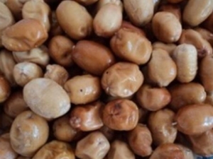 ɳ�潺�Ĺ�Ч������ ɳ�潺���ٴ�Ӧ��