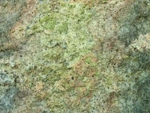 ����ɢ���� ����ɢ��Ч ����ɢ��������