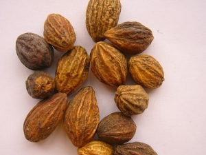 ������账�� ������蹦Ч ��������������