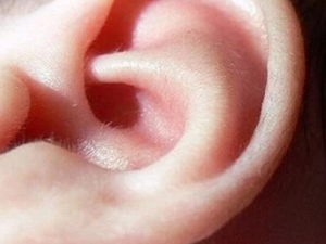 ��ʺ���ԭ�� ��ʺ����ô��