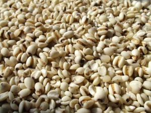 �����账�� �����蹦Ч �������������