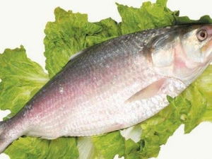 ���۳��������� ���۳�������Ч ���۳�������������