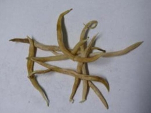 ɽ�ٲ��Ĺ�Ч������ ɽ�ٲ����÷�����