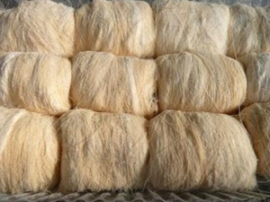 �����ǵ�Ӫ����ֵ �����ǵ�ʳ�÷���