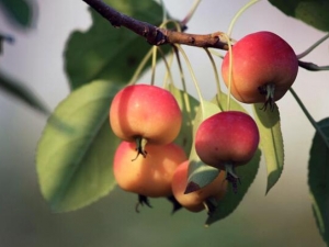 ɳ���Ĺ�Ч������ ɳ�����÷�����