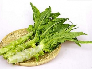 ݫ�ĵ�Ӫ����ֵ ʳ��ݫ���ע������