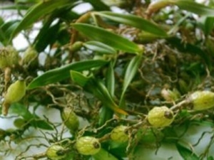 ��Ͱ���Ĺ�Ч������ ��Ͱ�����÷�����