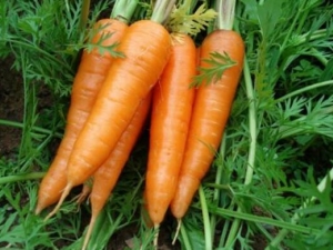 ���̵��˳�ʲô�� ��������Σ����ʳ���Ƽ�