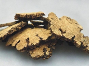 ܺ������������ ܺ����������Ч ܺ����������������