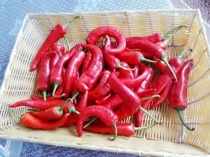 ������Ů�Կ�˥�ϳ�ʲô�� ��ʲô�߹���������