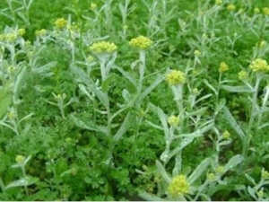 ׷�Ƿ�Ĺ�Ч������ ׷�Ƿ�ĸ���