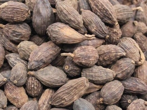 ��������� �������Ч �������������