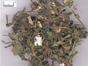 �gͩ�账�� �gͩ�蹦Ч �gͩ���������