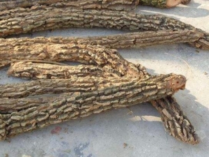 ����Ѫ�ٵĹ�Ч������ ����Ѫ�ٵĸ���