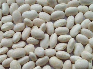 ��ܿ����Ӫ����ֵ ��ܿ����ʳ�ý���