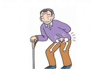 ���Ԥ���ɹ�ͷ���� �ɹ�ͷ�����޸����Ƿ�Ḵ��