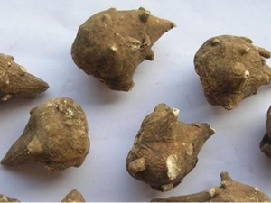 ����ɢ���� ����ɢ��Ч ����ɢ��������