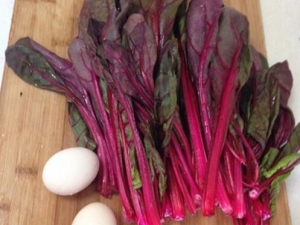 �첤�˵Ĺ�Ч������ �첤�˵��÷�����