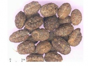 ��ɰ������ ��ɰ����Ч ��ɰ����������