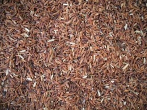 ������Ѫ��ʲô�� ������Ѫ��ʳ���Ƽ�