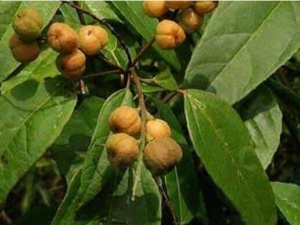 ���۵����� ���۵���Ч ���۵���������