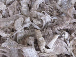 ���ɵ�Ӫ����ֵ ���ɵ�ʳ�÷���