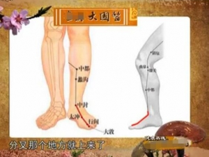 ��ͨ�ξ������� ��ͨ�ξ��ķ���