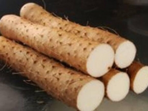 ��ʲô�������� �������ٵķ���