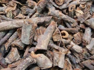 ����ɸദ�� ����ɸ๦Ч ����ɸ��������