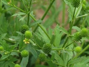 �ػ�����Ĺ�Ч������ �ػ�������÷�����