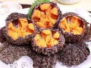 �����Ĺ�Ч������ ������ʳ�ý���