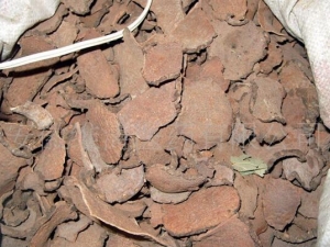 ��ҩ�ӵĹ�Ч������ ��ҩ�ӵ��ٴ�Ӧ��